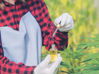 Como Começar o Tratamento com Cannabis Medicinal: Guia Passo a Passo