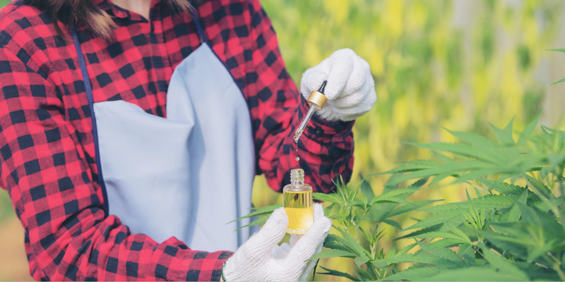 Como Começar o Tratamento com Cannabis Medicinal: Guia Passo a Passo