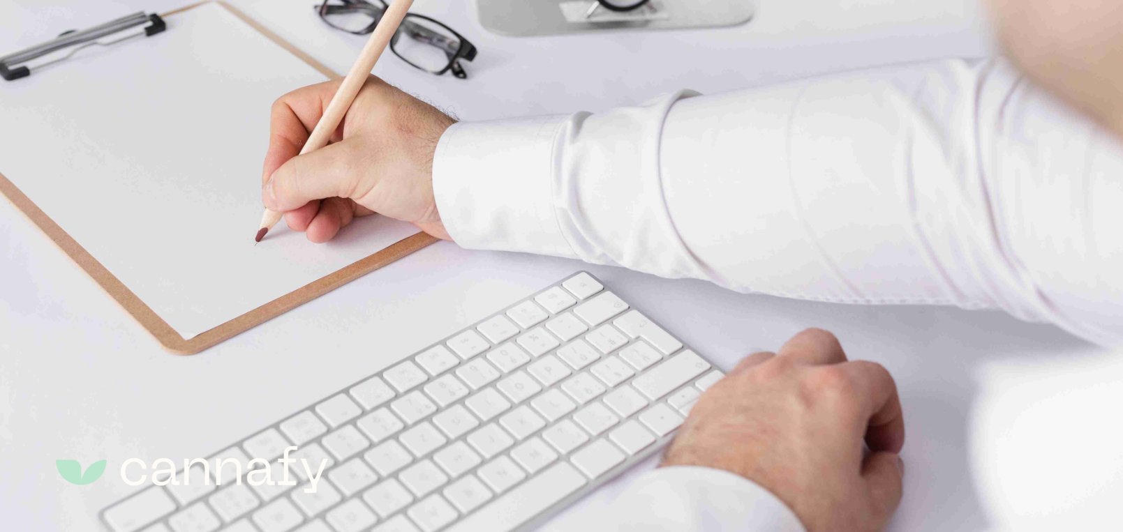 Cannafy - Conteúdos